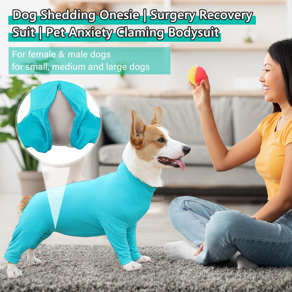 Due Felice dog surgery suit blue small back view supports post-surgery rest and mobility.