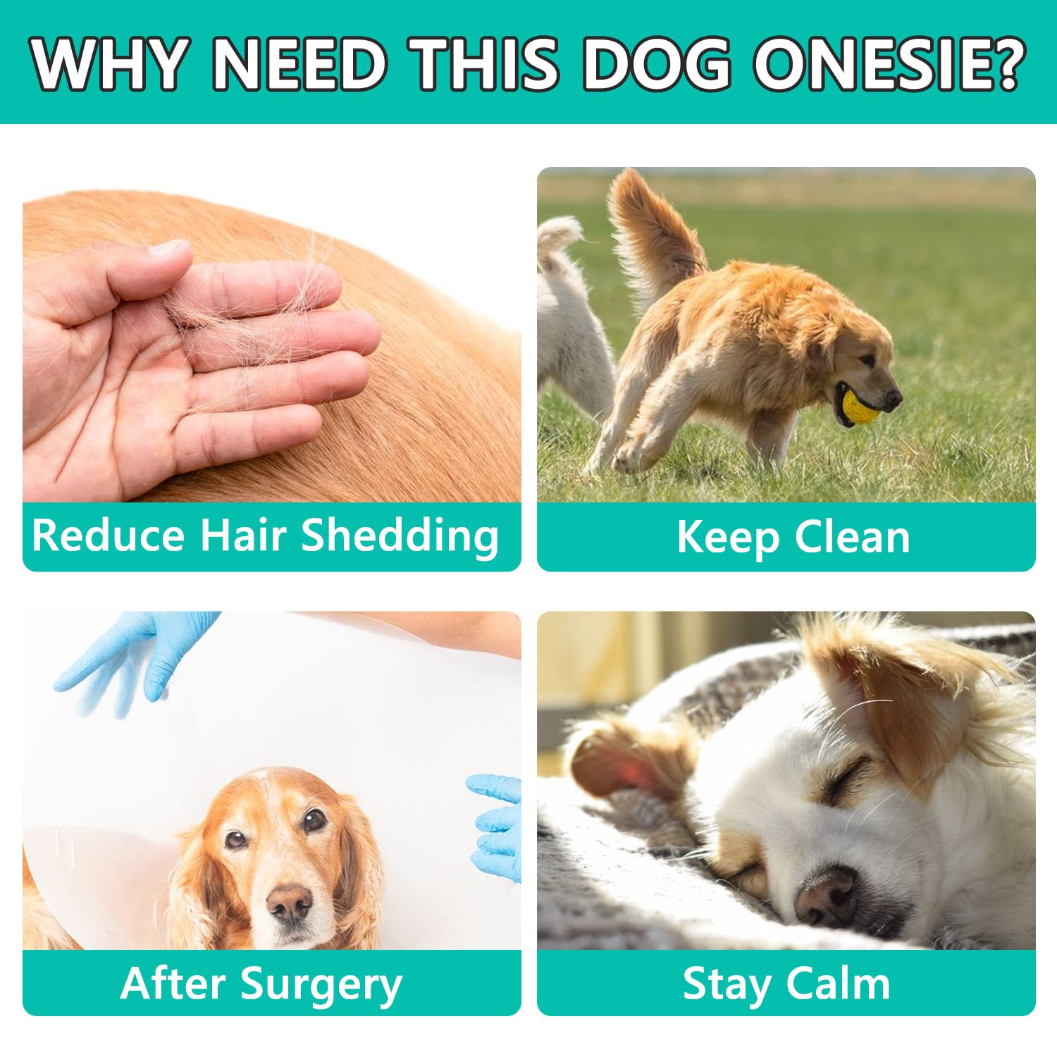 Due Felice dog surgery suit blue small post-surgery wear allows drinking and eating freely.