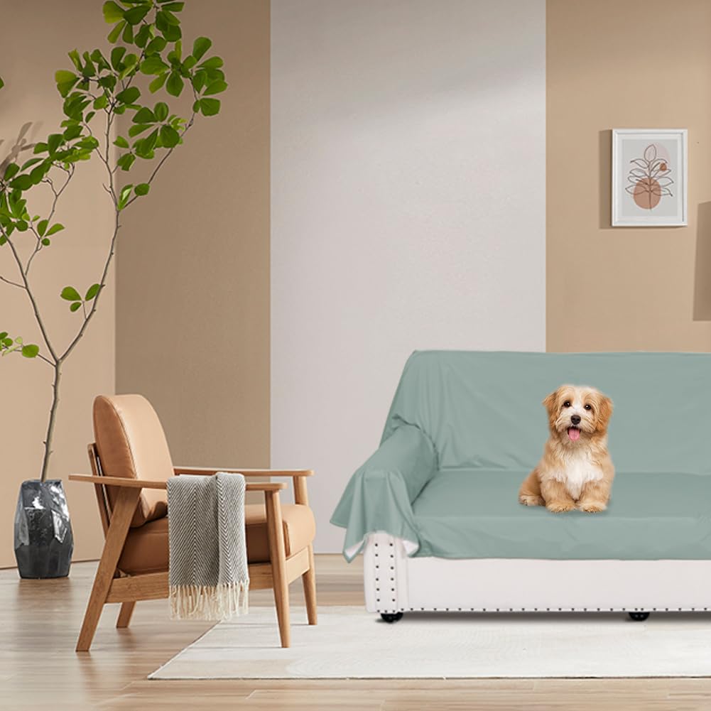 DUJUIKE green queen cover highlights pet hair resistance and cozy use.