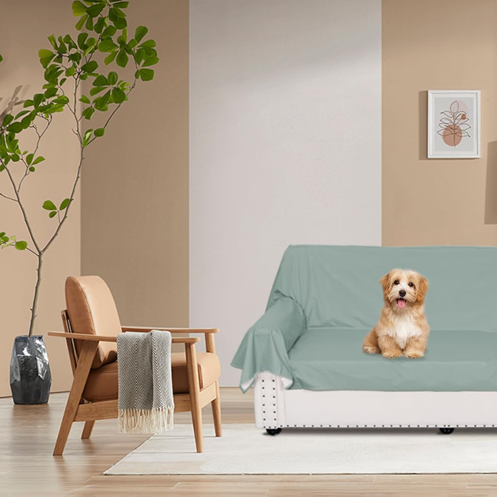DUJUIKE green queen cover highlights pet hair resistance and cozy use.