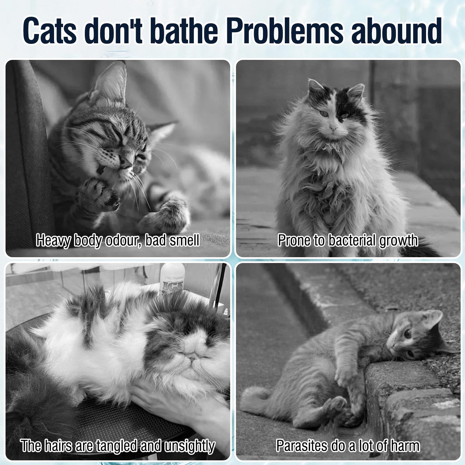 DUNKHADEN cat shampoo ingredients coconut oil and botanicals nourish cleansing.