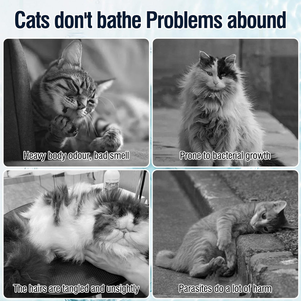 DUNKHADEN cat shampoo ingredients coconut oil and botanicals nourish cleansing.