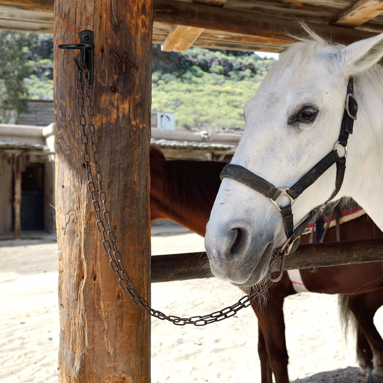 Dunzy metal stall hooks on a barn wall provide strong bearing capacity for heavy buckets.