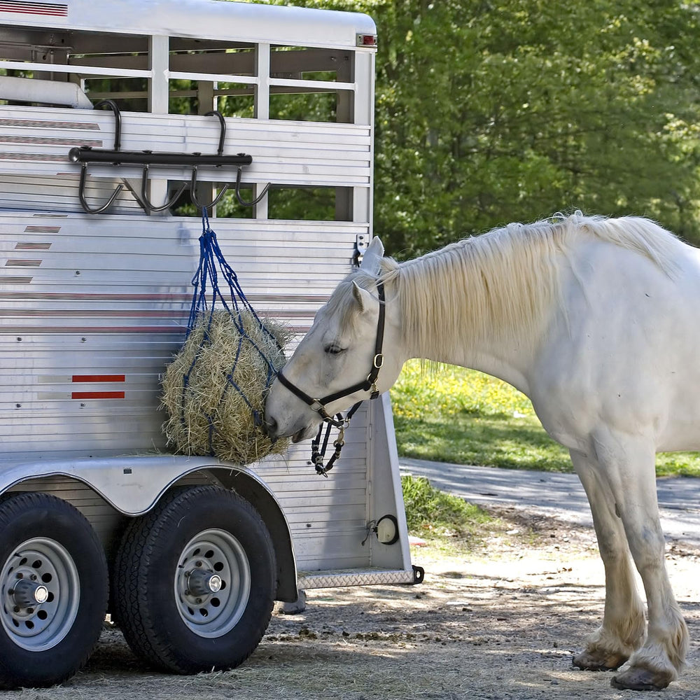 Dunzy tack holder is perfect for trailer or stall mounting.