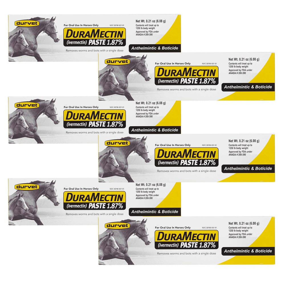 Durvet Duramectin equine wormer paste being administered with a syringe for easy parasite control.