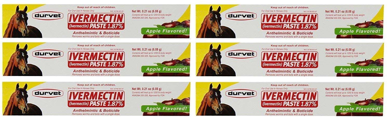 Durvet ivermectin paste apple-flavored syringe for easy deworming and stress-free administration
