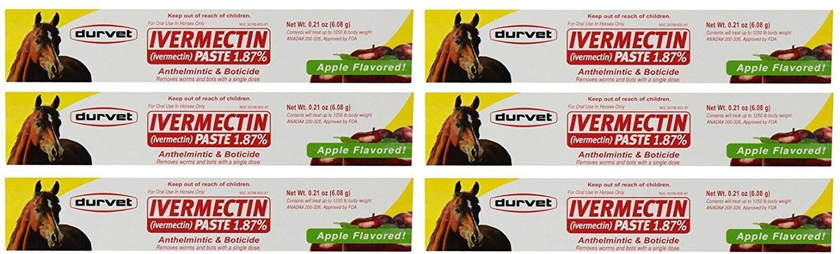 Durvet ivermectin paste apple-flavored syringe for easy deworming and stress-free administration