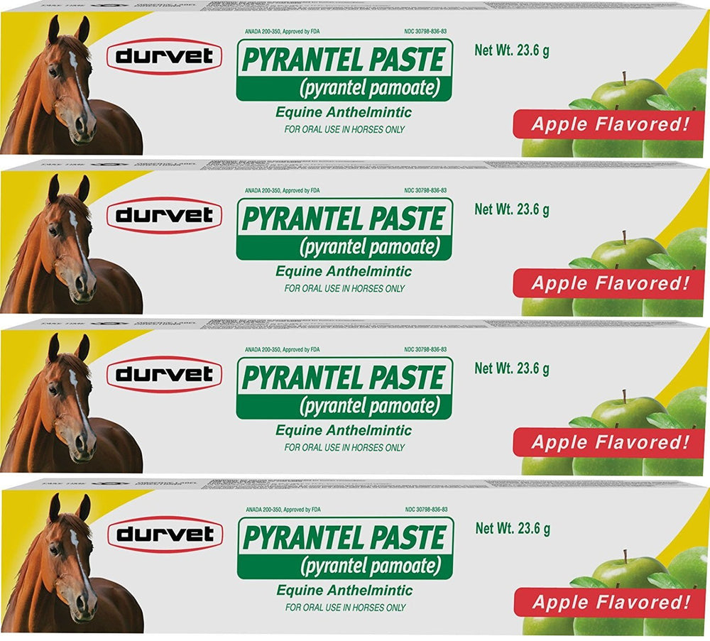 Durvet Pyrantel Paste Apple Flavor tube for easy equine deworming and parasite control
