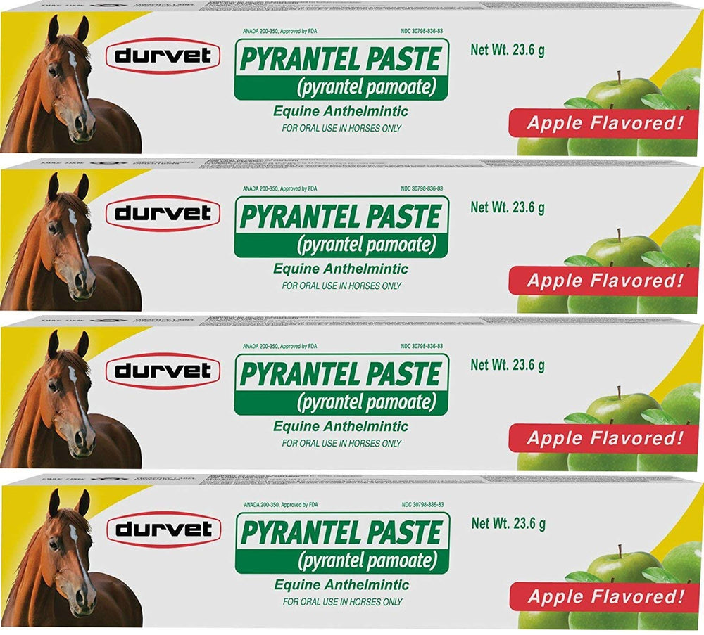 Durvet Pyrantel Paste Wormer apple flavor tube aids easy administration and parasite control for horses.