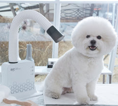 DUZ V2 with stand base provides hands-free stability during grooming sessions.