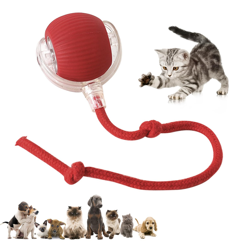 DVHNMK Chewie regalo ideal para mascotas activas y curiosas.