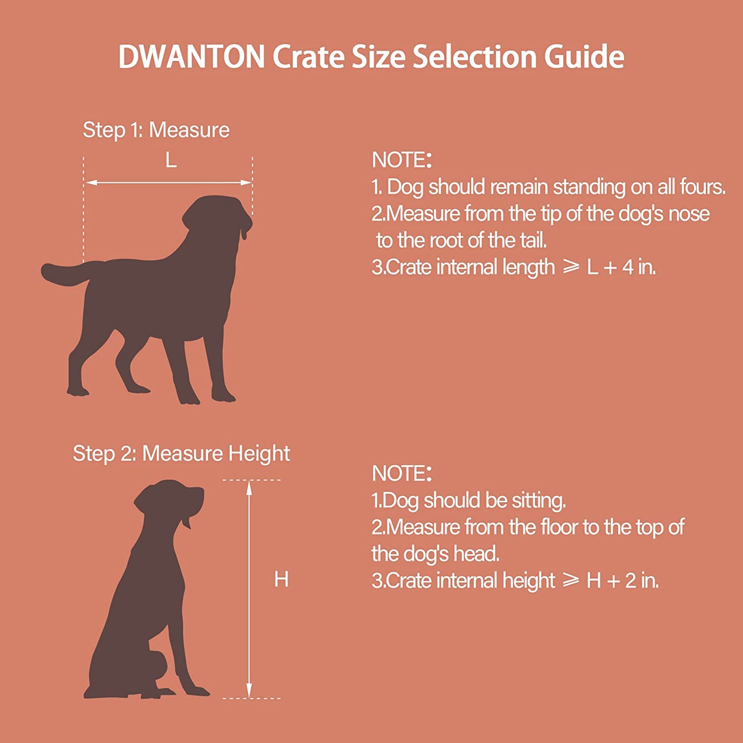Dwanton cushioned bed inside crate delivers warm, comfy nap spot.
