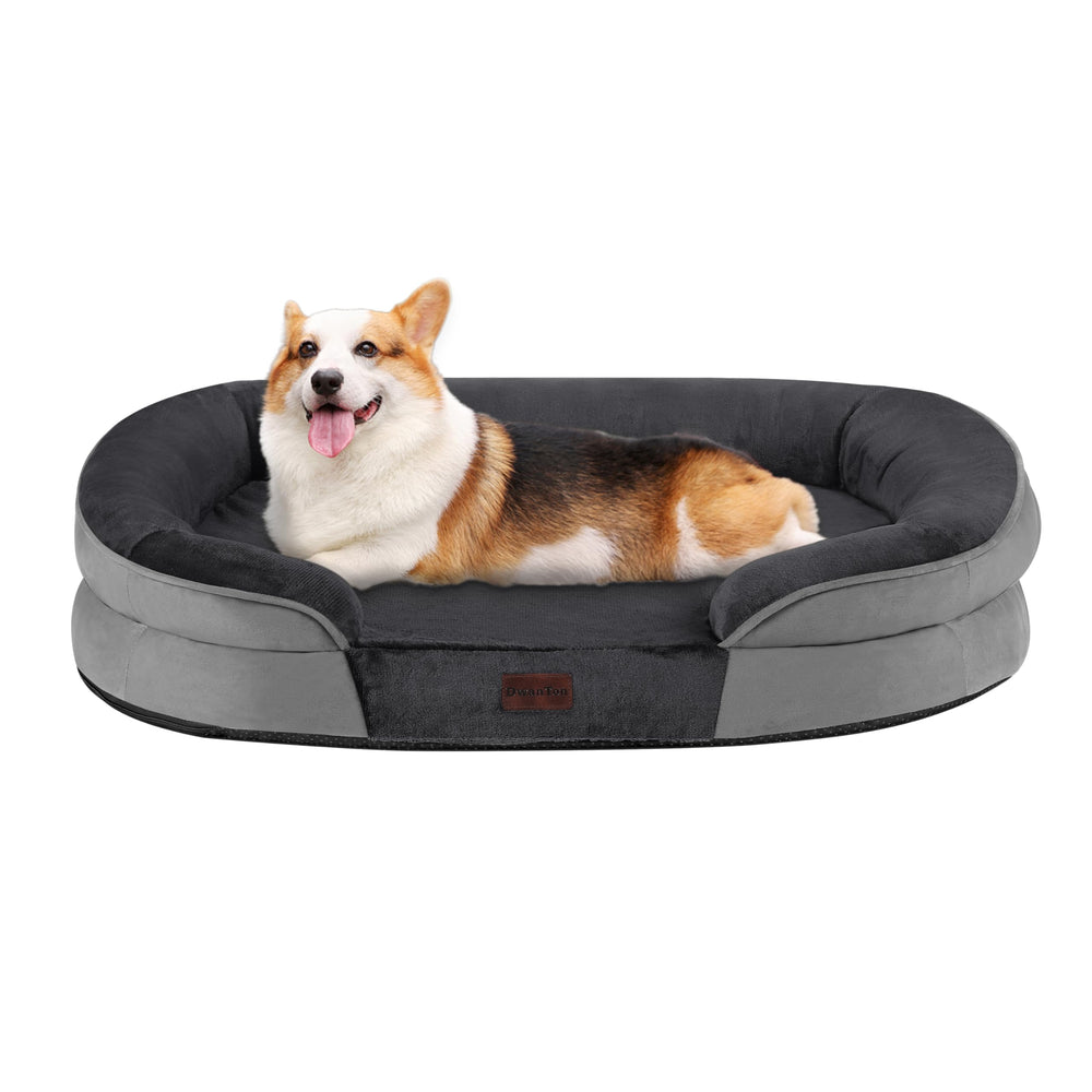 Dwanton orthopedic dog bed 35-inch dark gray front view shows supportive bolster for comfy lounging.
