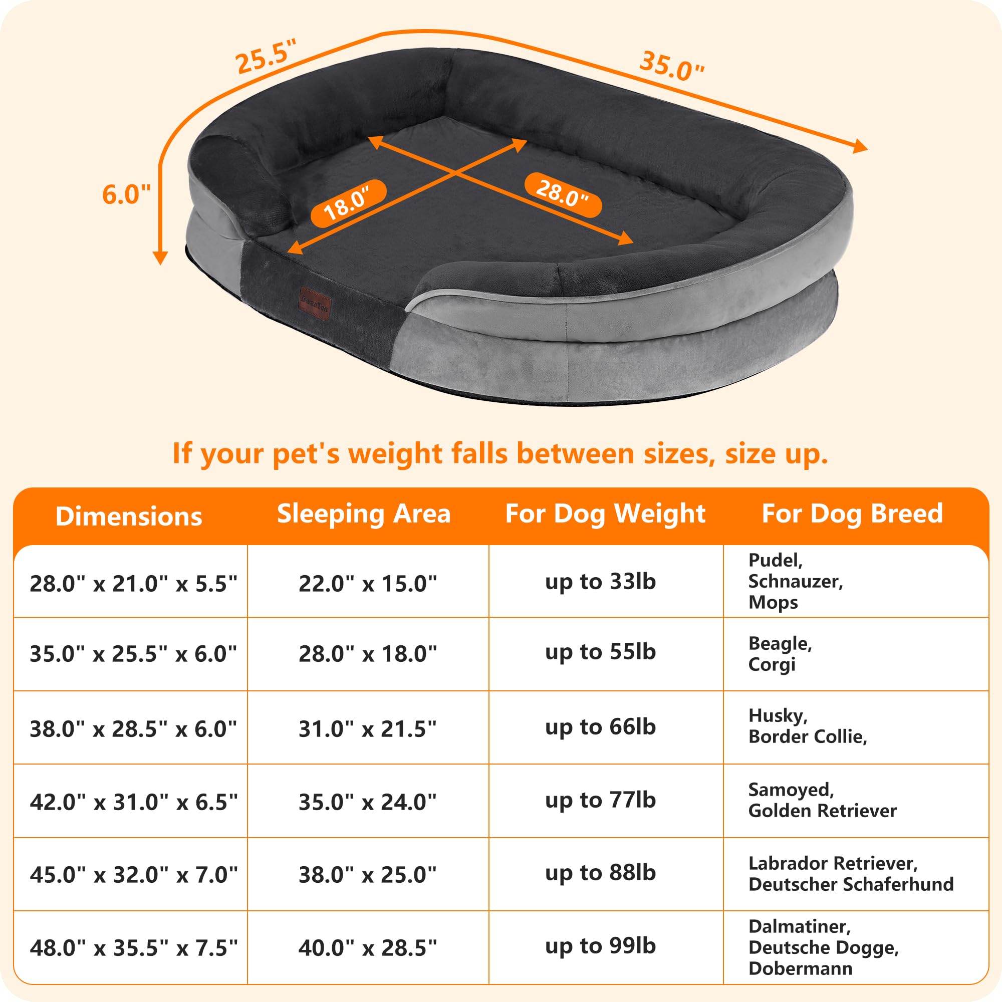 Dwanton removable cover showcases machine-washable convenience for cleaning days.