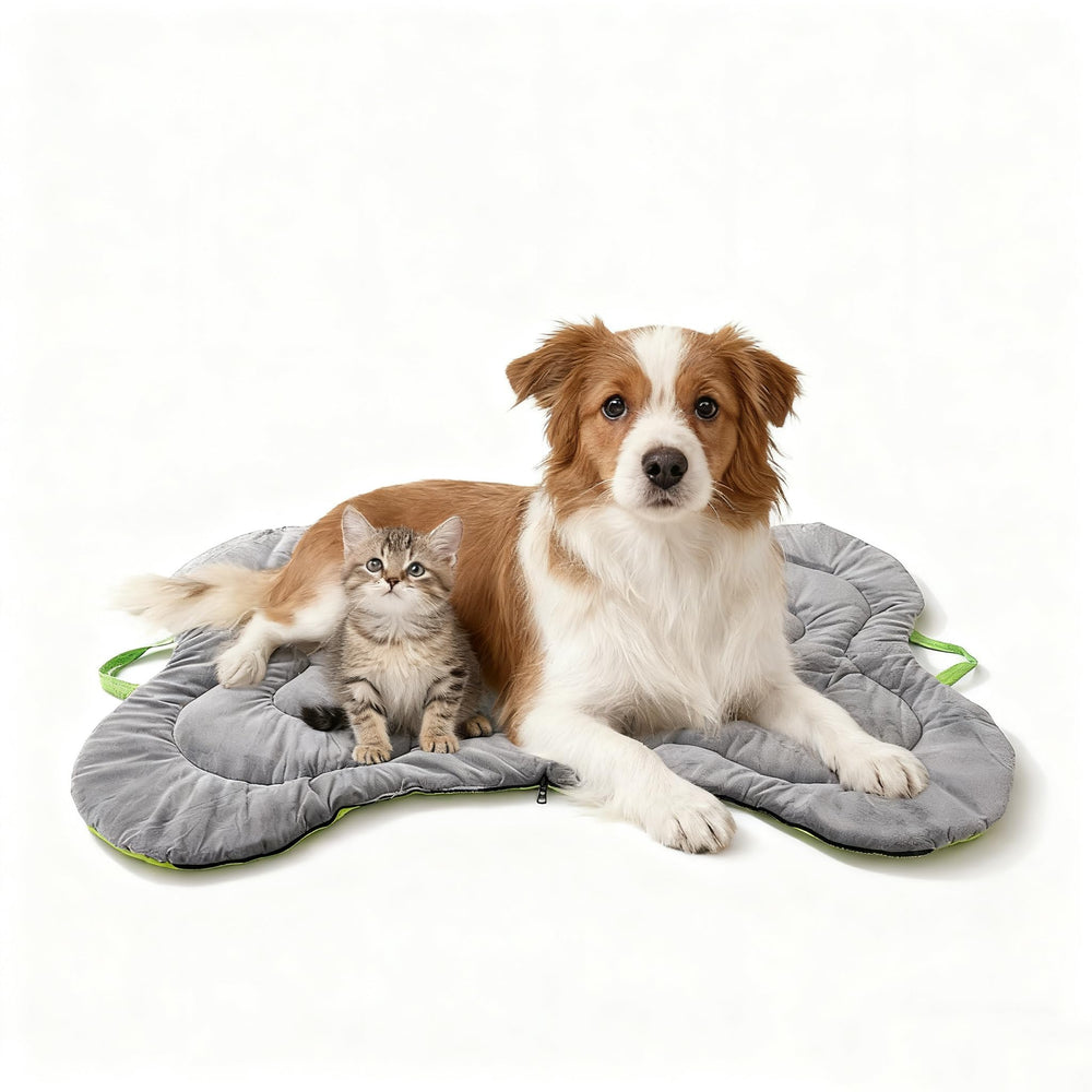 DWCN Doul medium-to-large dog bed for versatile comfort.