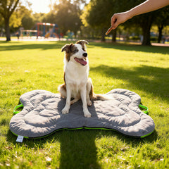 DWCN Doul portable dog bed with handle for easy transport.