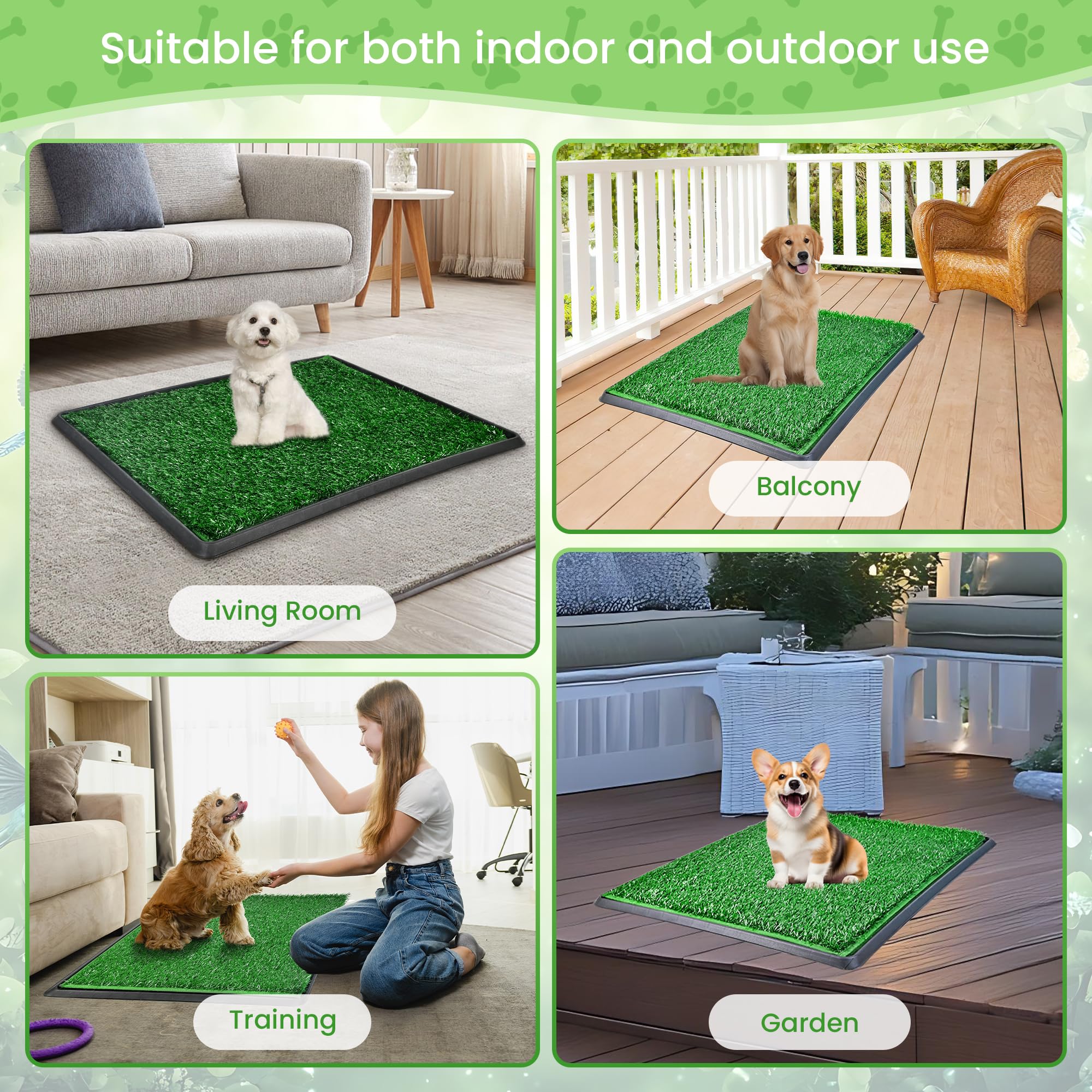 DwlSpce puppy training scene showing mess-free potty tool