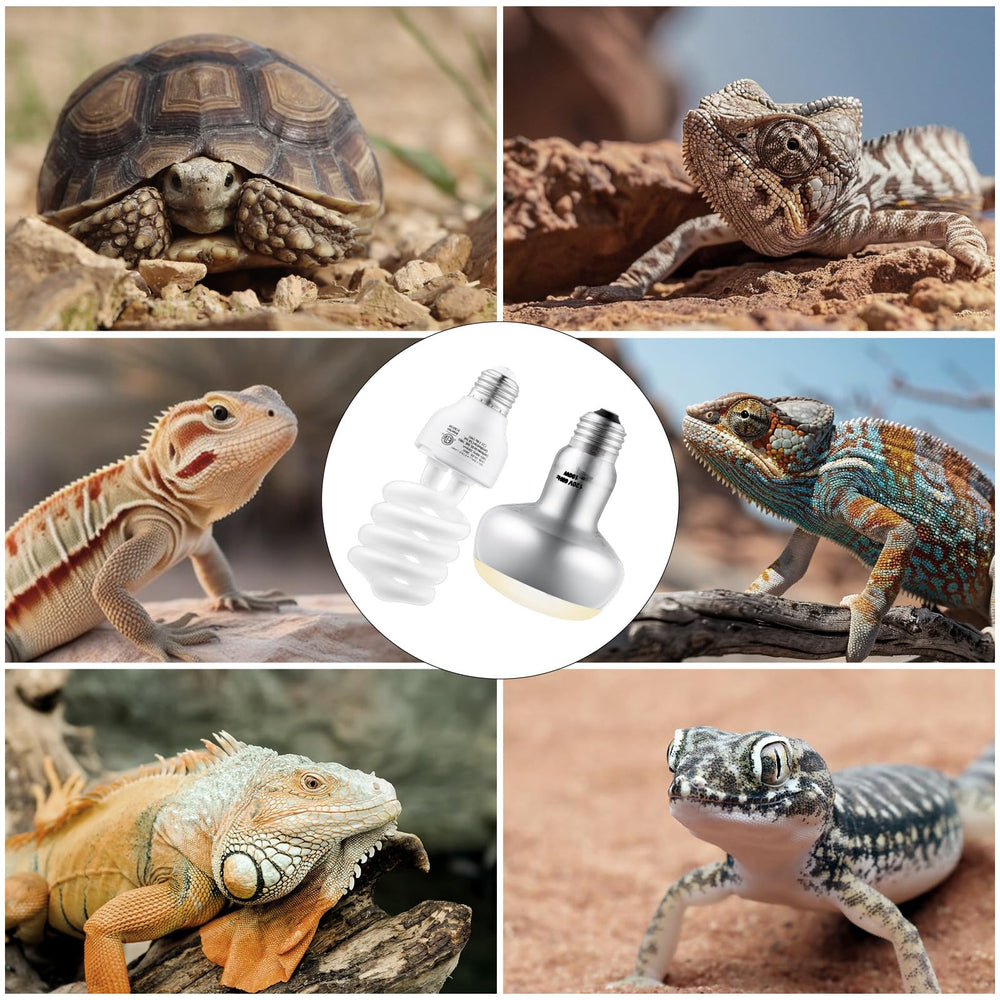 DXOPHIEX frosted-glass-reptile-cover softens light for peaceful daytime viewing.