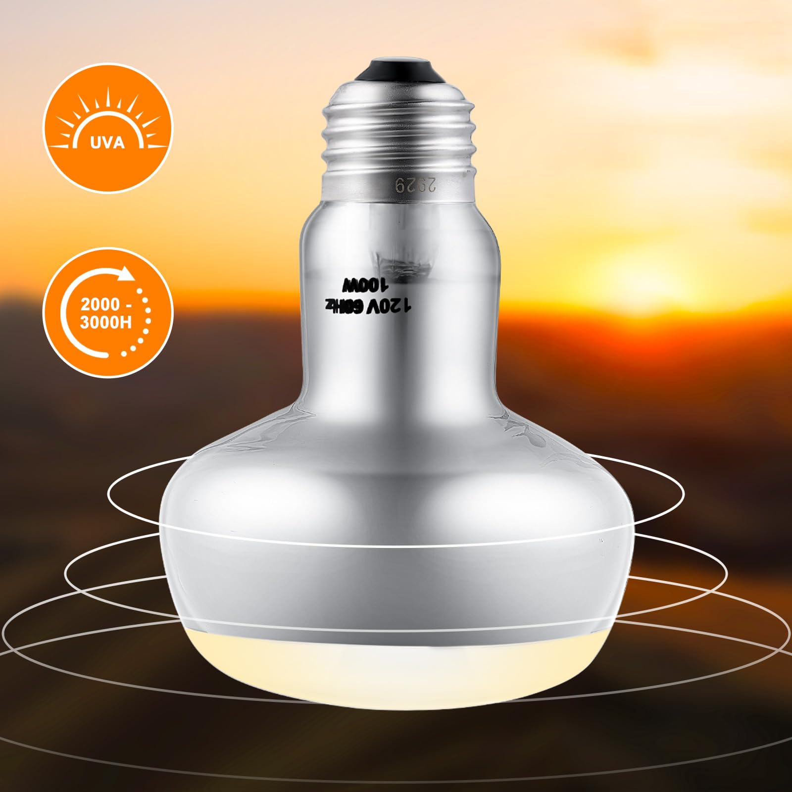 DXOPHIEX heat-lamp-copper-base improves heat reflection for efficient warming.