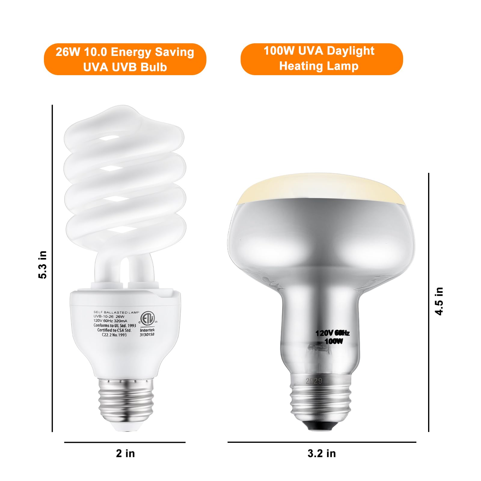 DXOPHIEX reptile UVB bulb in fixture delivers reliable UVB for daytime activity.