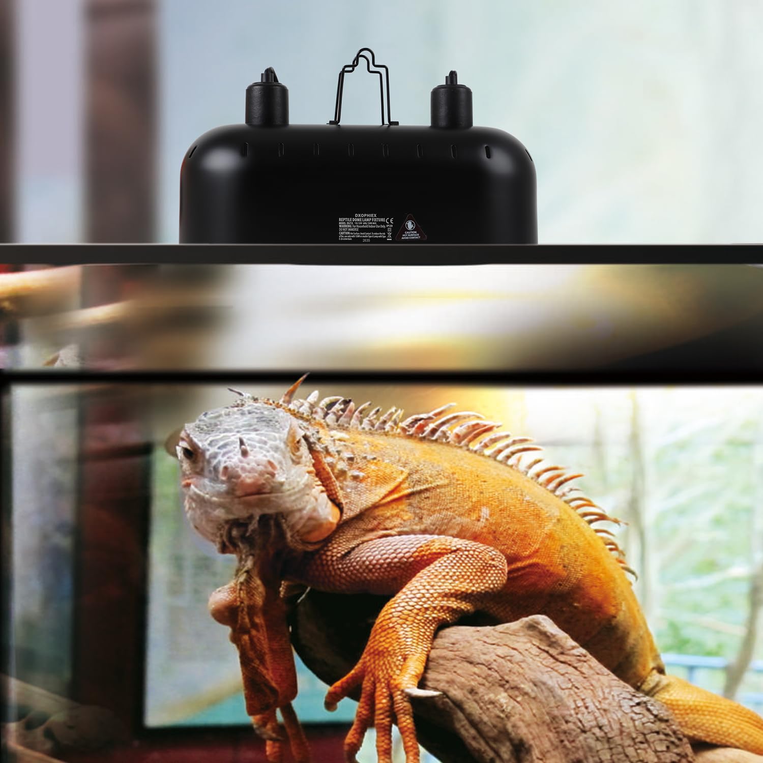 DXOPHIEX warning-label-temperature helps monitor safety during setup
