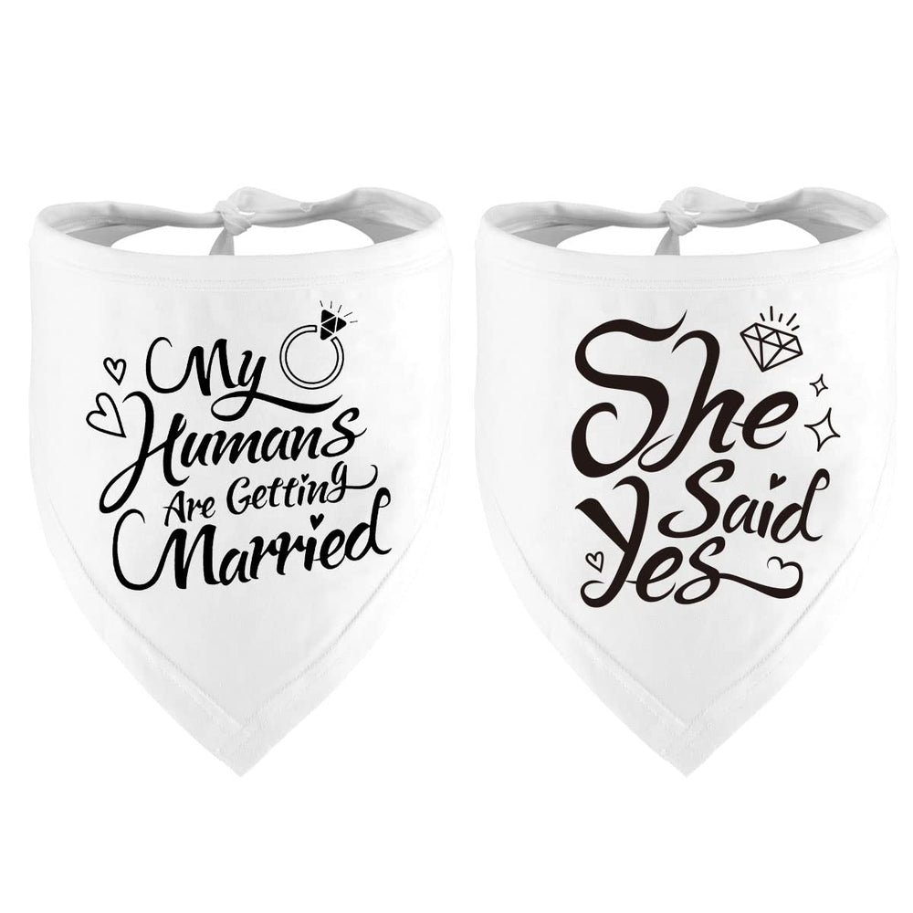 Dzmodz bandana perro boda frontal: ideal para fotos memorables