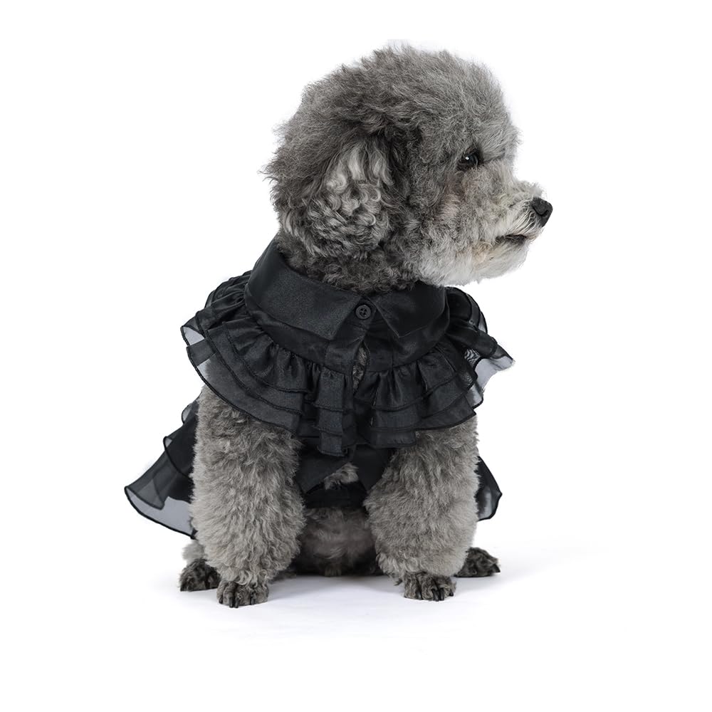 DZTYG Wednesday Dress belt detail highlighting secure fit for pets