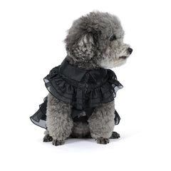 DZTYG Wednesday Dress belt detail highlighting secure fit for pets