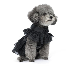 DZTYG Wednesday Dress on a black coat front view showing easy-on cosplay for pets