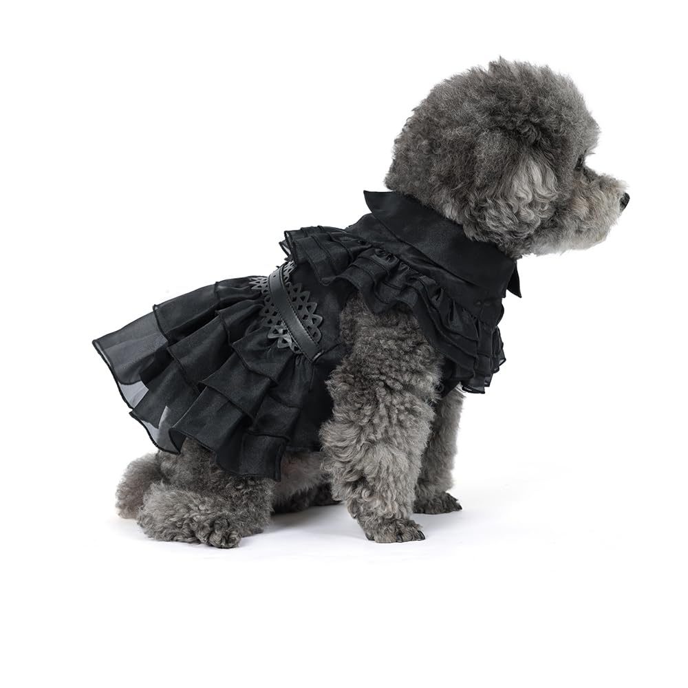 DZTYG Wednesday Dress worn by a small dog illustrating comfortable fit