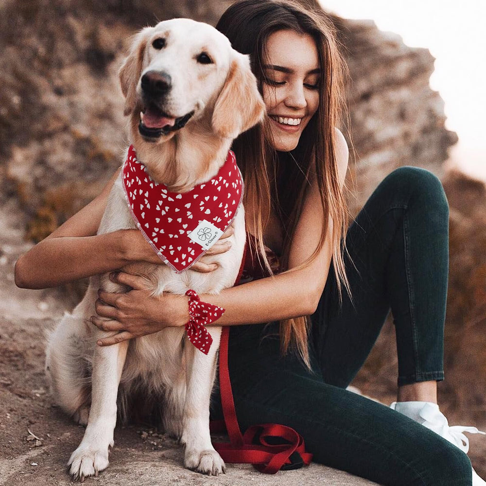 E-Clover matching dog bandana and scrunchie set shown during a walk