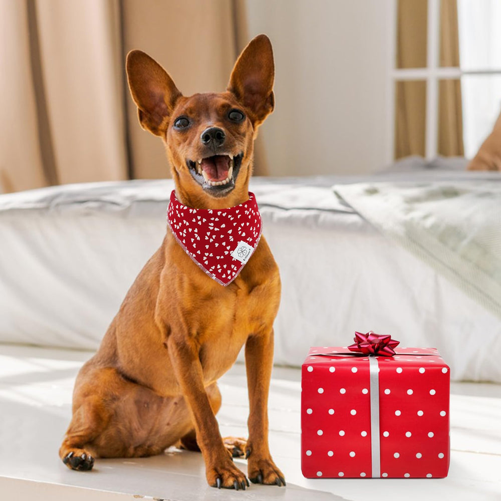 E-Clover Valentines Day gift dog bandana in vibrant red heart print
