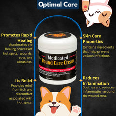 E3 Hot Spot Cream application on a dog demonstrates easy, gentle use.
