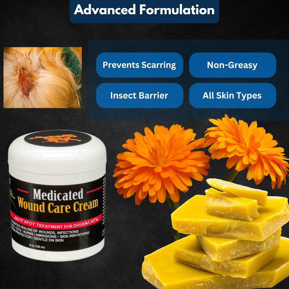 E3 Hot Spot Cream on a dog paw highlights soothing treatment during walks.