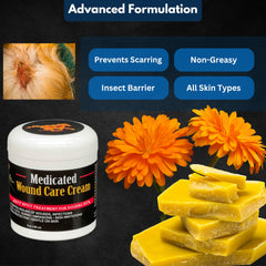 E3 Hot Spot Cream on a dog paw highlights soothing treatment during walks.