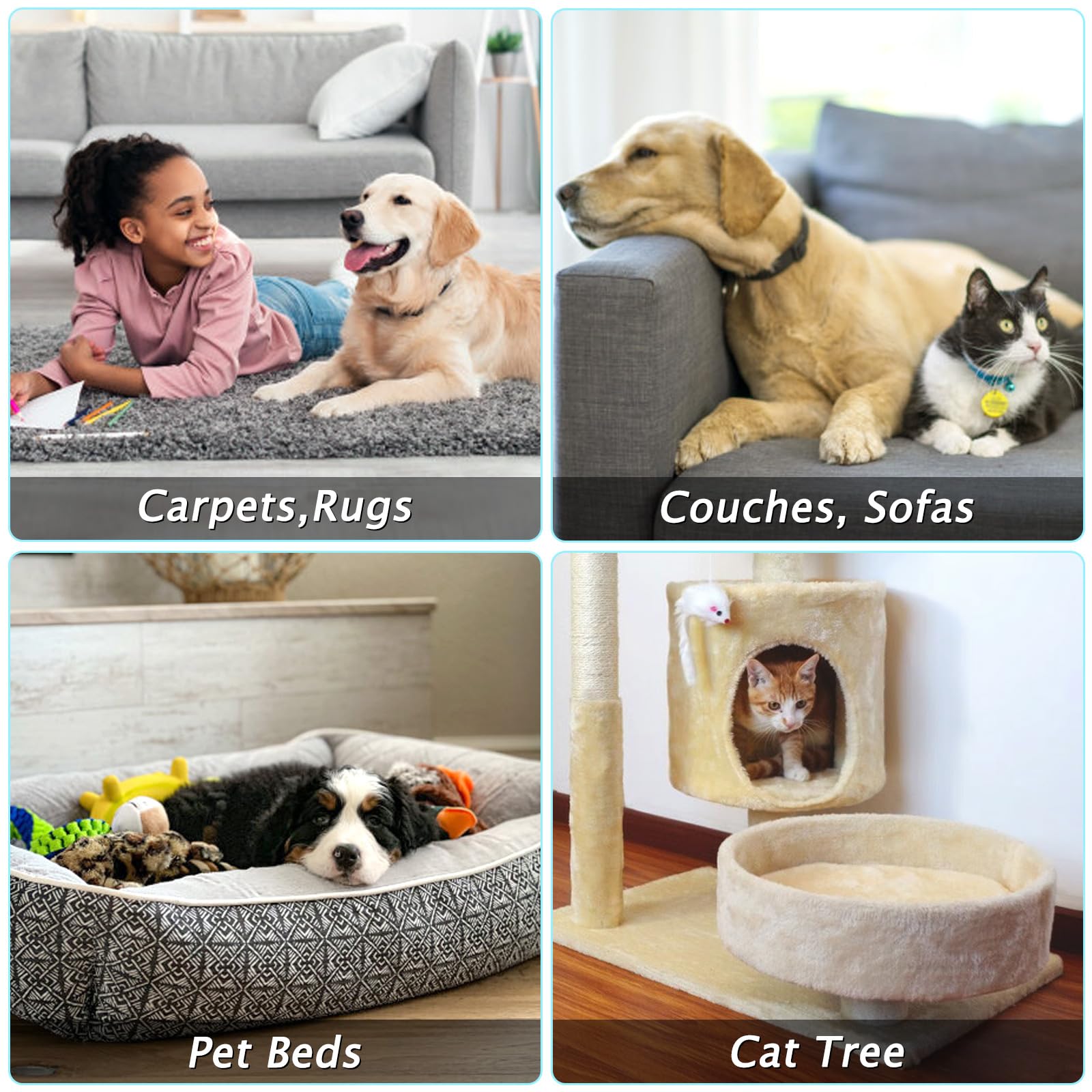 Eaersan sustainable pet-hair cleaner as reusable alternative to disposables.