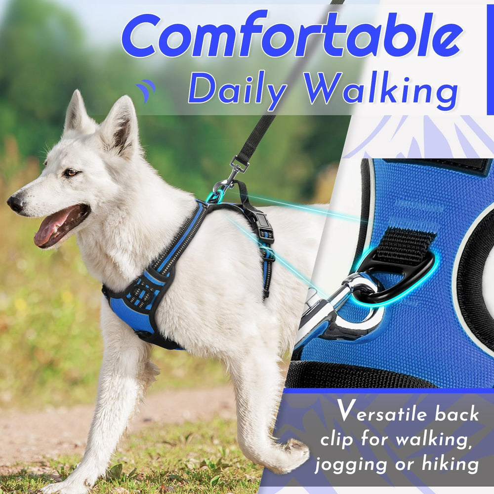 Eagloo dog harness blue back-ring focus supports casual walks with secure handling