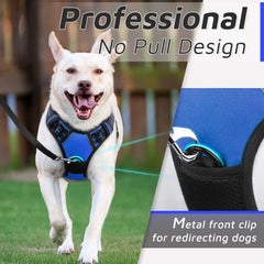 Eagloo dog harness blue back strap supports comfortable everyday walks.
