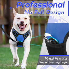 Eagloo dog harness blue back view showing dual leash rings for versatile control.