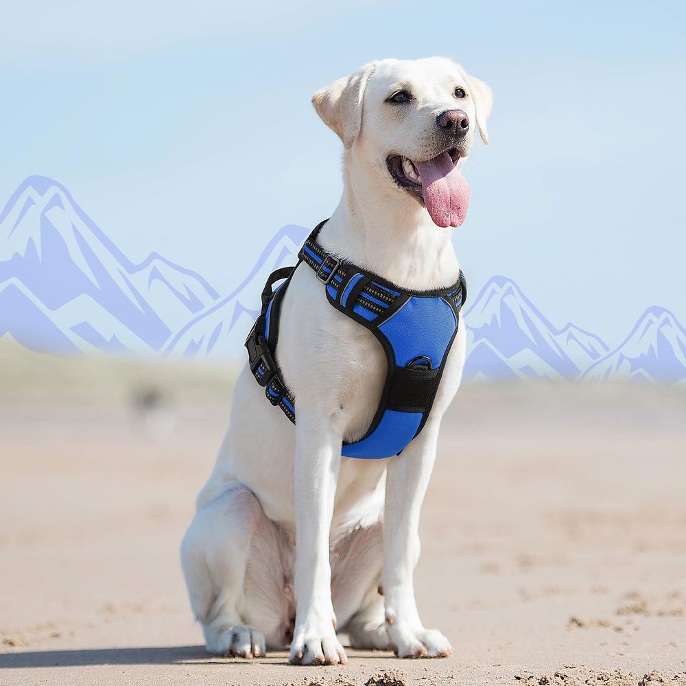 Eagloo dog harness blue size range chest 15-35.4 inches for versatile fit.