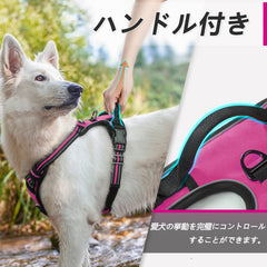 Eagloo dog harness breathable air mesh keeps dogs cool.