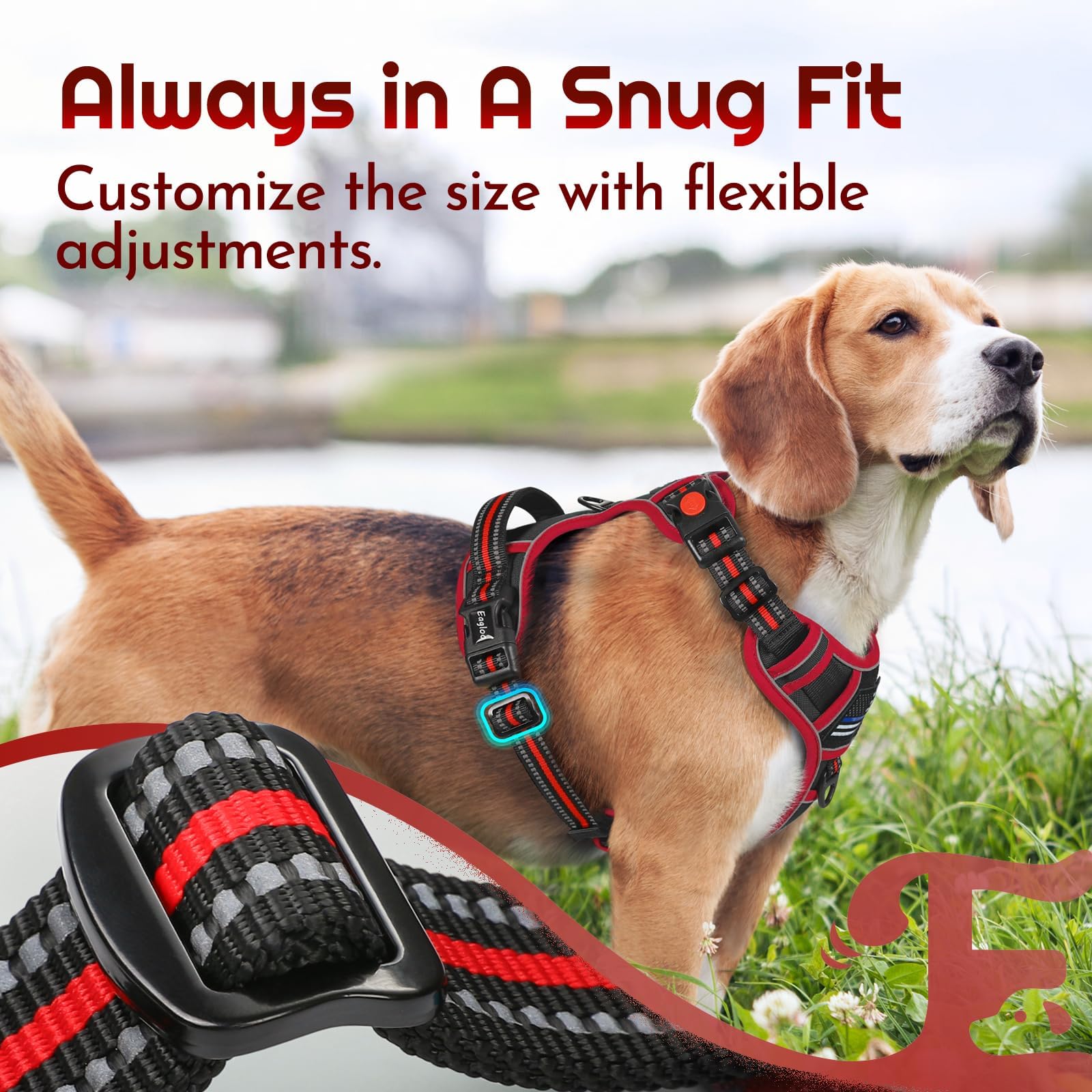 Eagloo four adjustable straps tailor fit for large breeds
