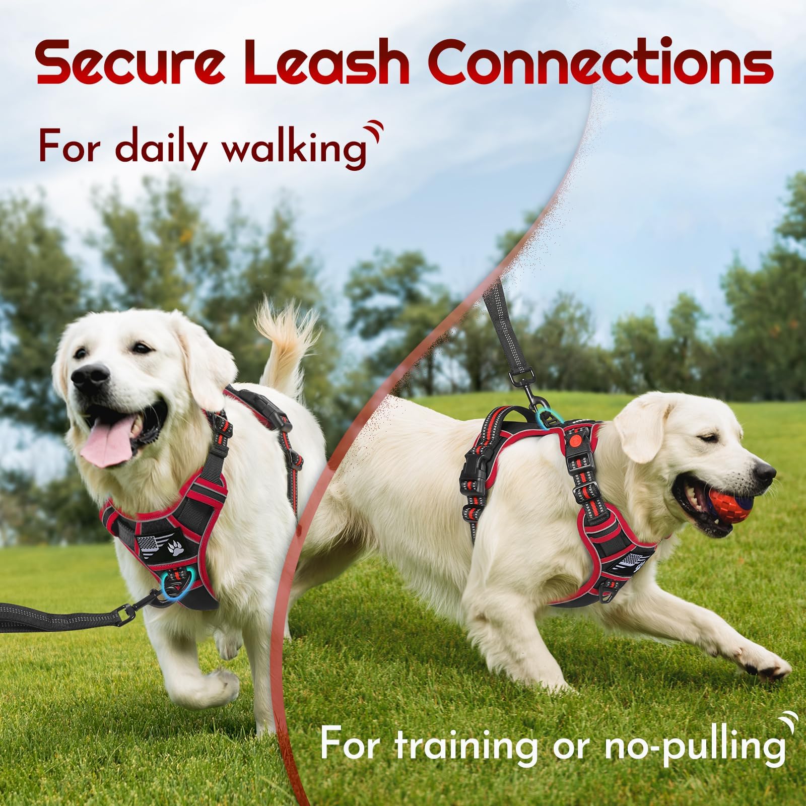 Eagloo harness includes a side control handle for emergency stops