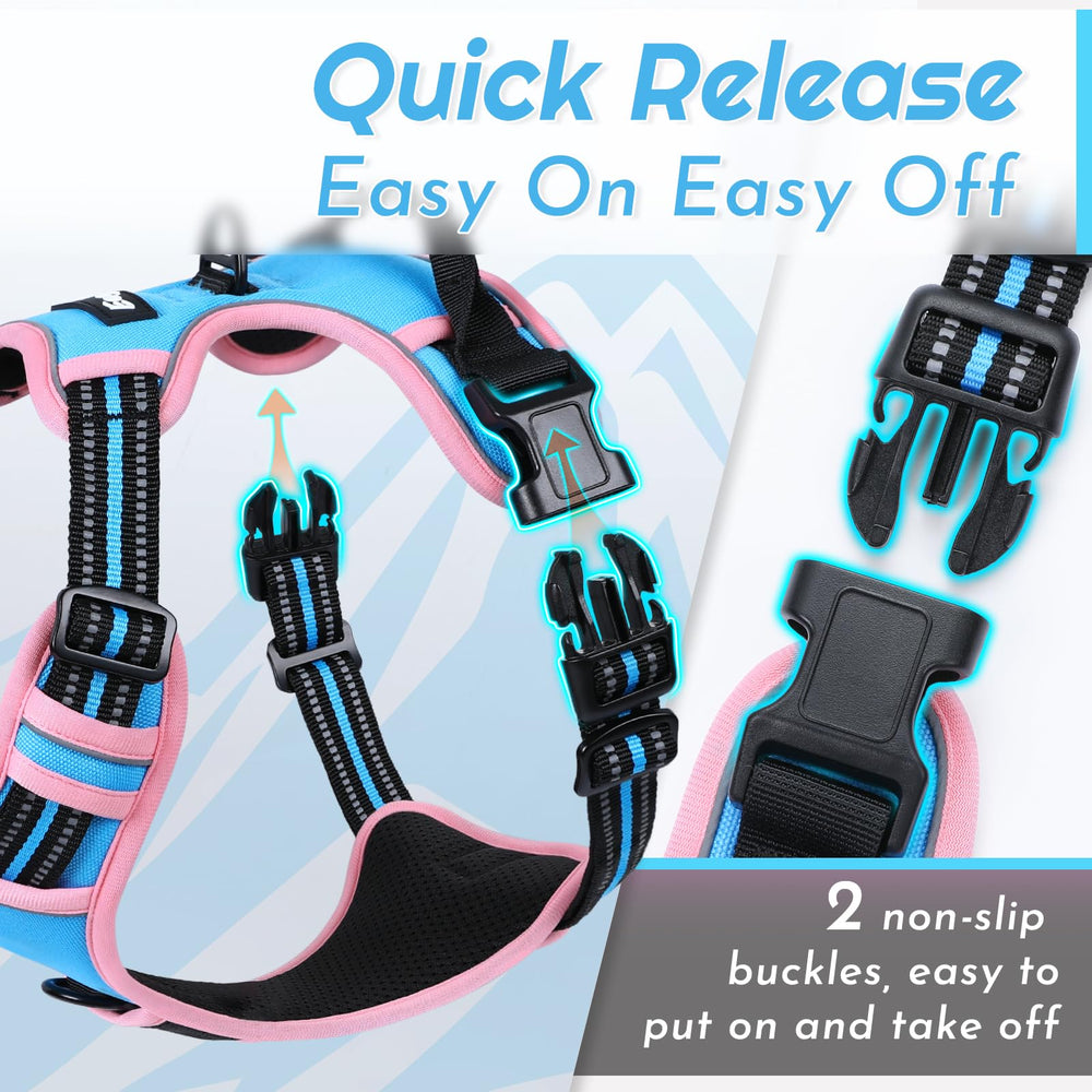 Breathable Eagloo air mesh keeps dogs cool during active strolls.
