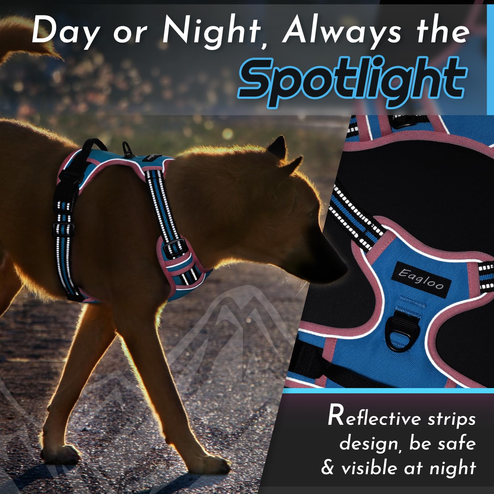 Sturdy nylon with reinforced stitching on the Eagloo harness.