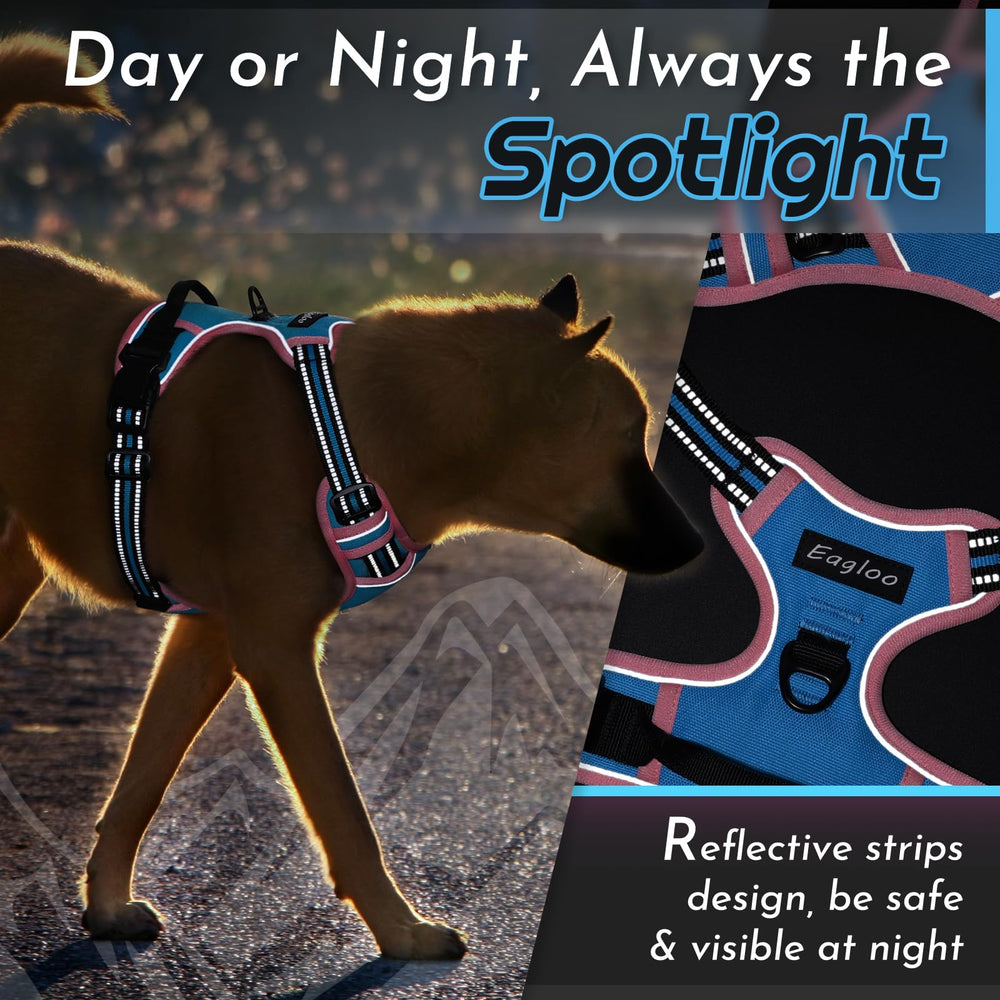 Sturdy nylon with reinforced stitching on the Eagloo harness.