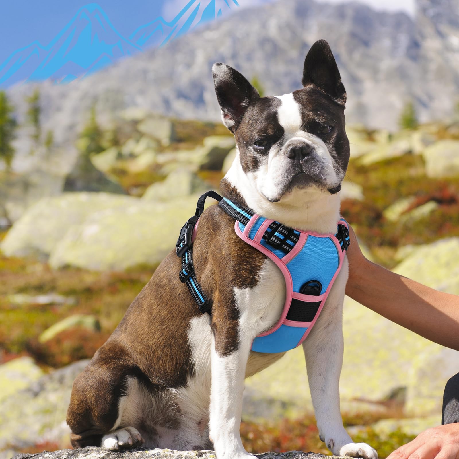 Dual metal rings offer versatile control for walking and jogging.