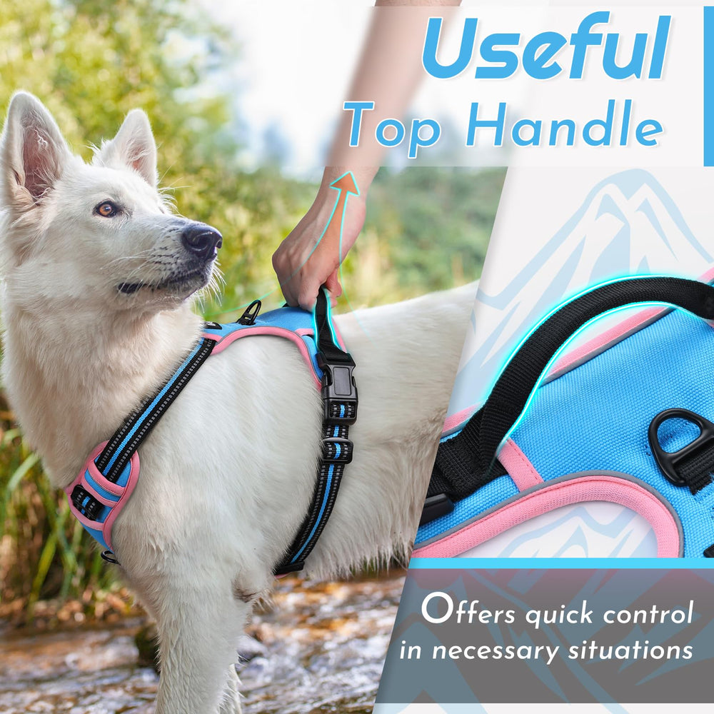 Reflective strips on the Eagloo harness enhance night visibility for safety.