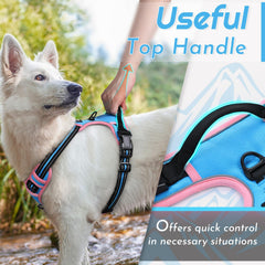 Reflective strips on the Eagloo harness enhance night visibility for safety.