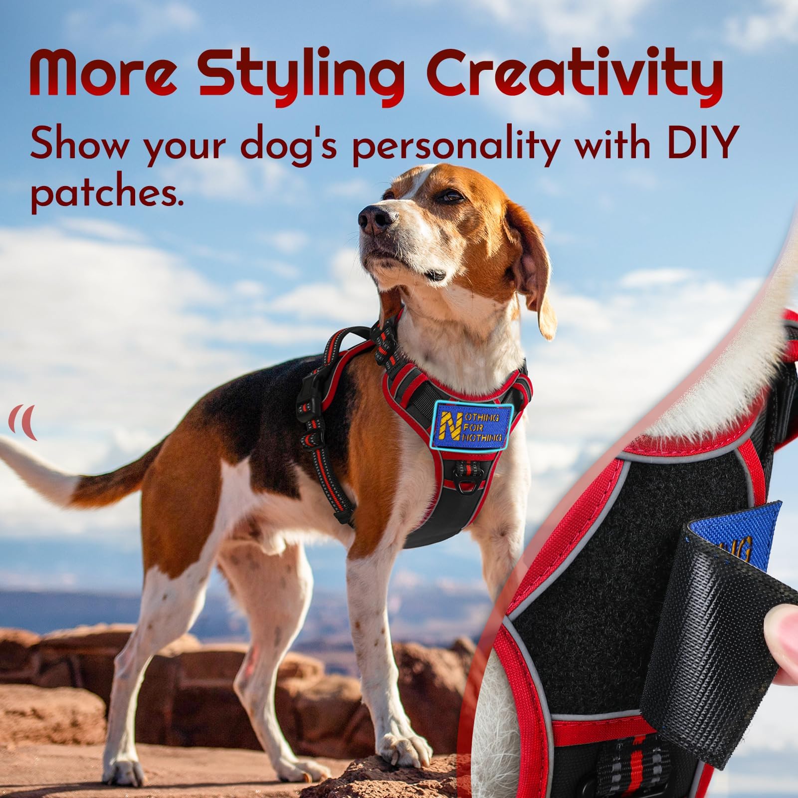 Eagloo harness front ring redirects forward motion for better walking control